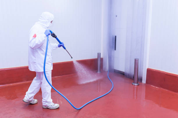 Best Paint Preparation  in Jupiter, FL